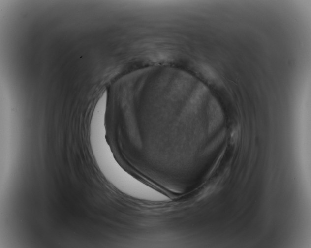 X0000086301156200704201937