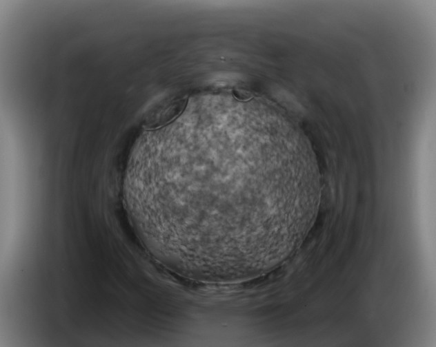 X0000086301158200704201937