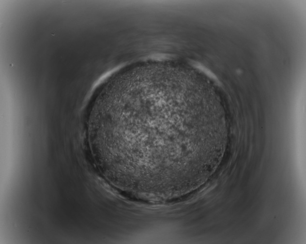 X0000086301160200704201937