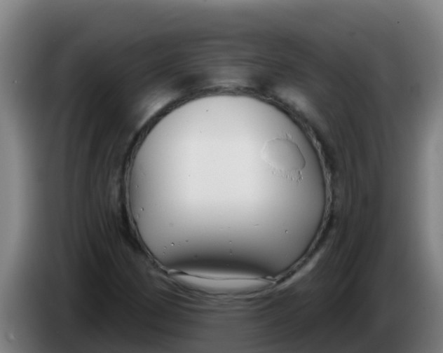 X0000086301162200704201937