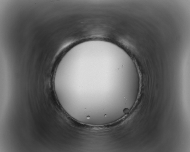 X0000086301166200704201937