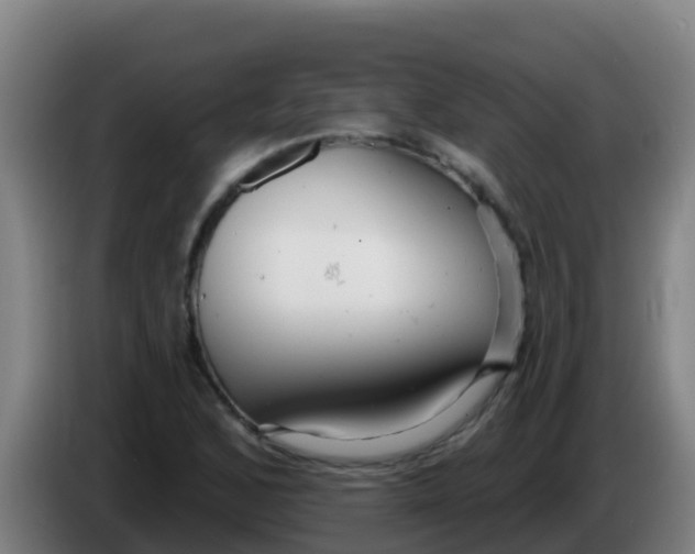 X0000086301168200704201937