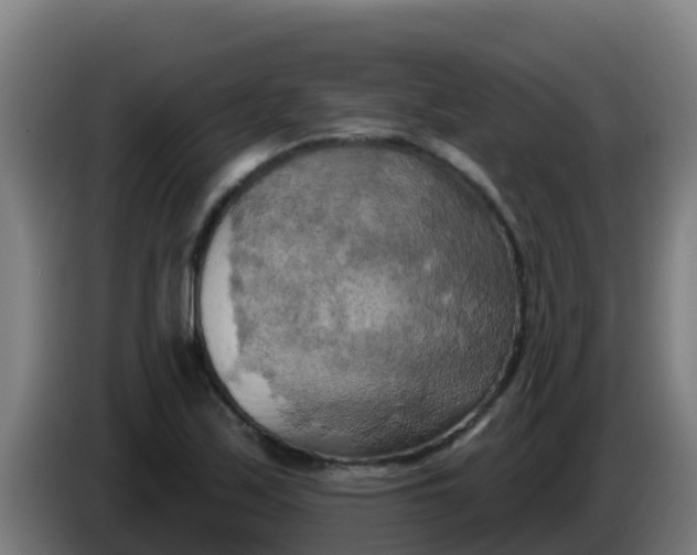 X0000086301171200704201937