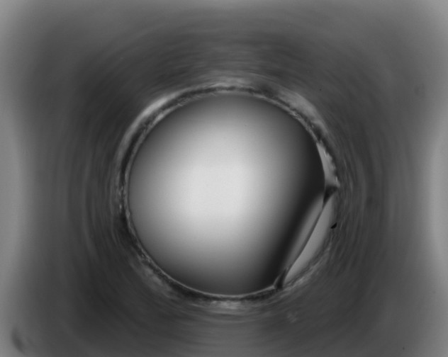 X0000086301172200704201937