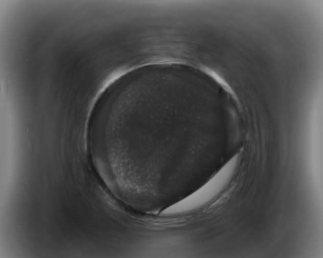 X0000086301173200704201937