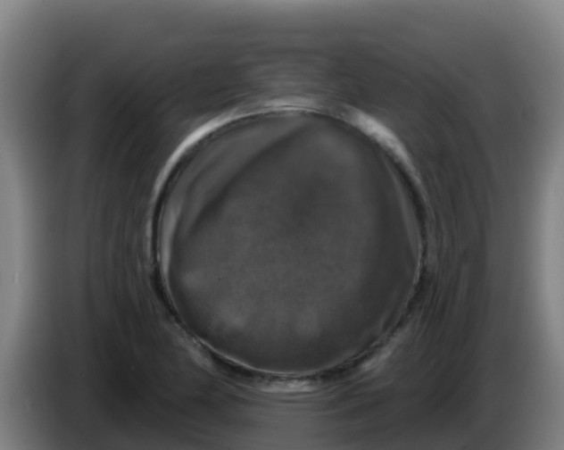 X0000086301174200704201937