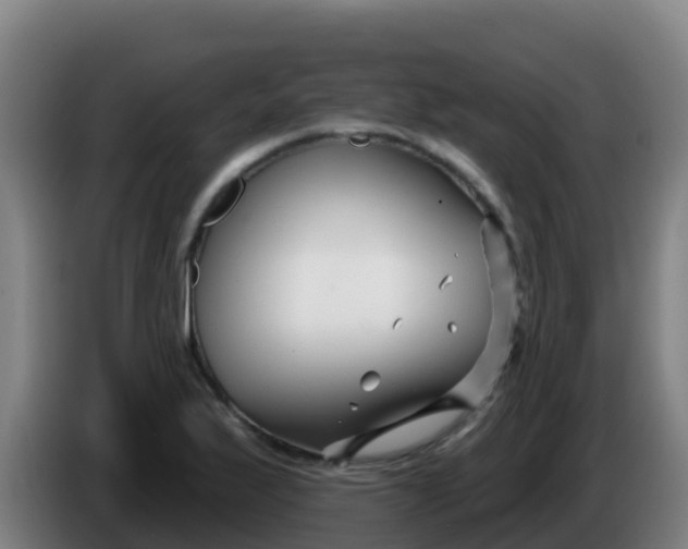 X0000086301175200704201936