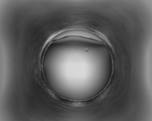 X0000086301176200704201936