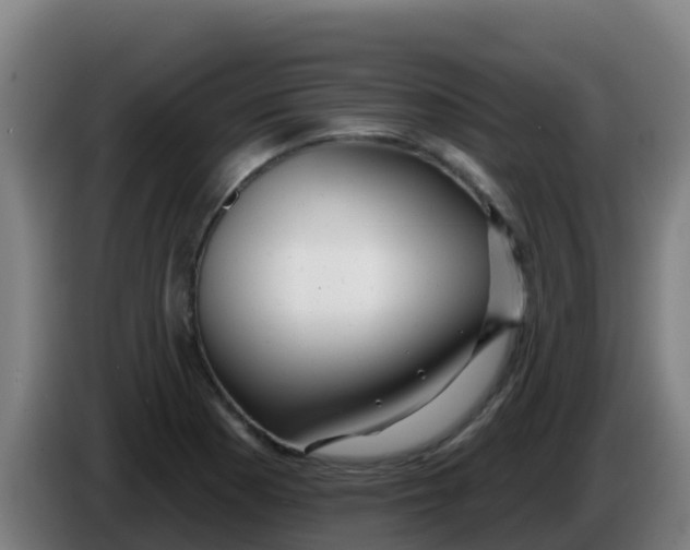 X0000086301177200704201936