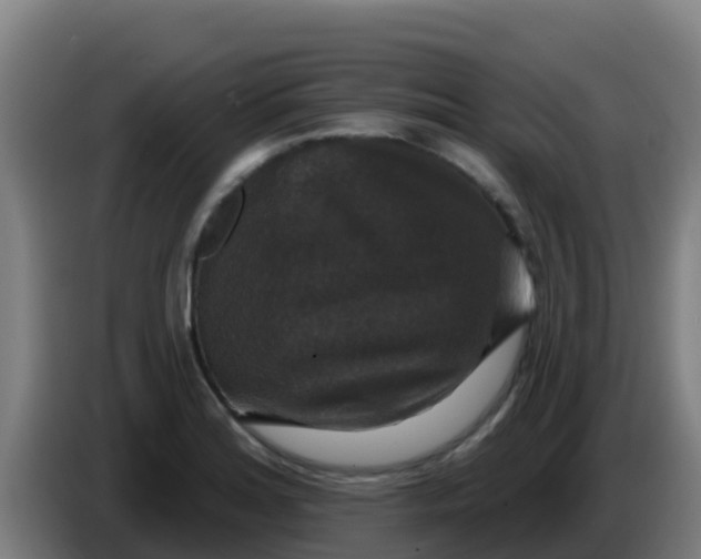 X0000086301180200704201936