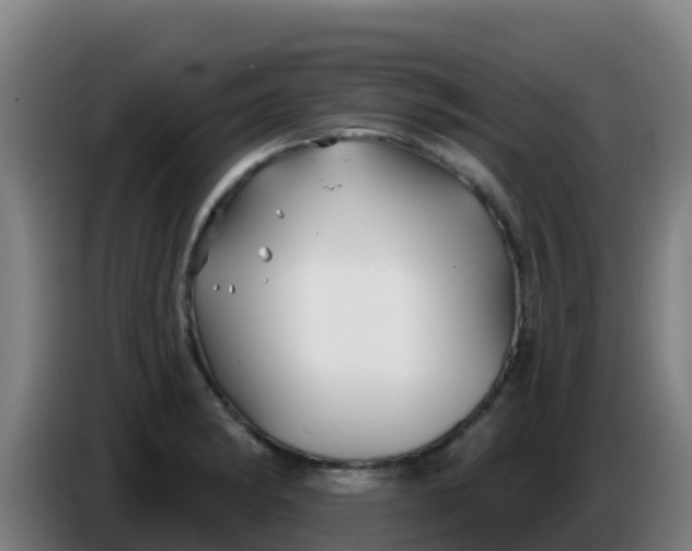 X0000086301182200704201936