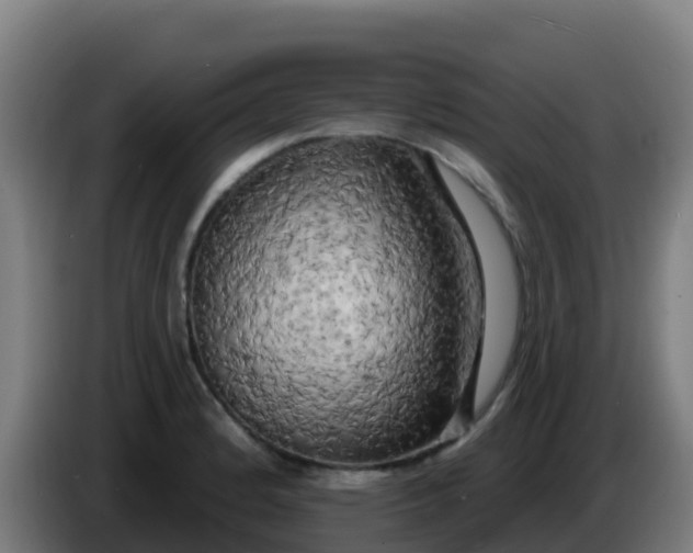 X0000086301184200704201936