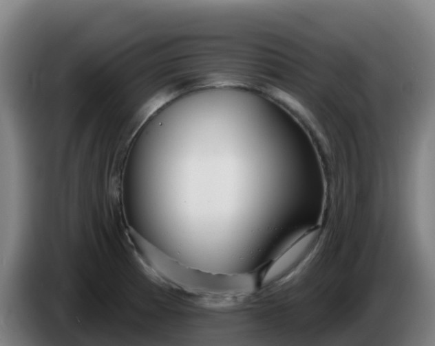 X0000086301185200704201936