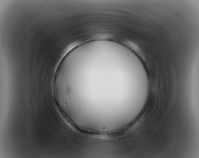 X0000086301186200704201936