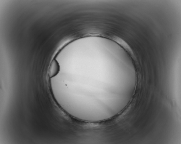 X0000086301190200704201936