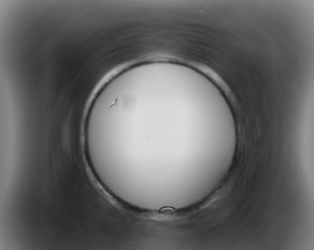 X0000086301191200704201936