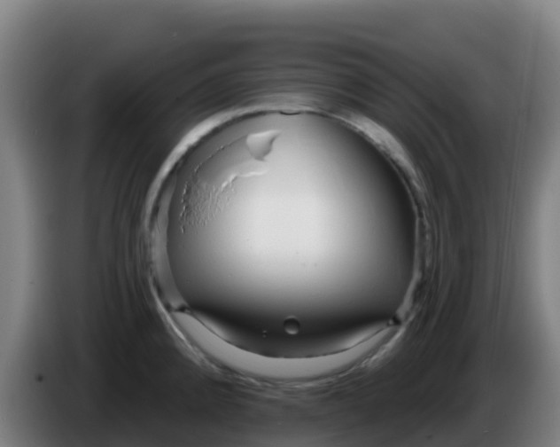 X0000086301192200704201936