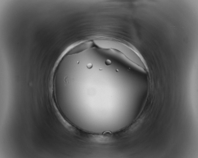 X0000086301195200704201936