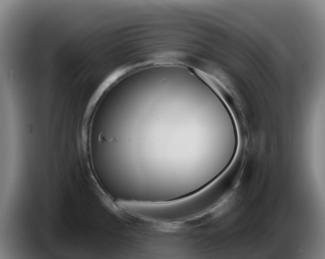 X0000086301196200704201936