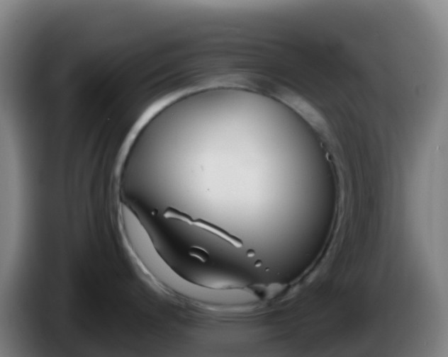 X0000086301200200704201936