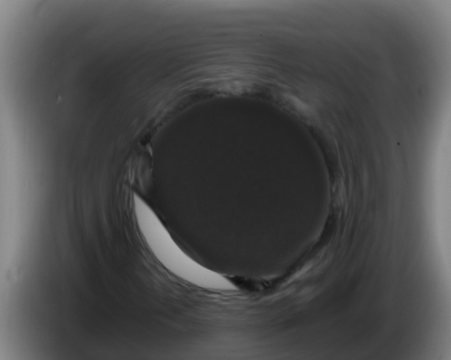 X0000086301202200704201936