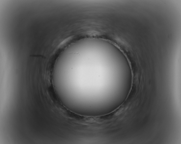 X0000086301205200704201936