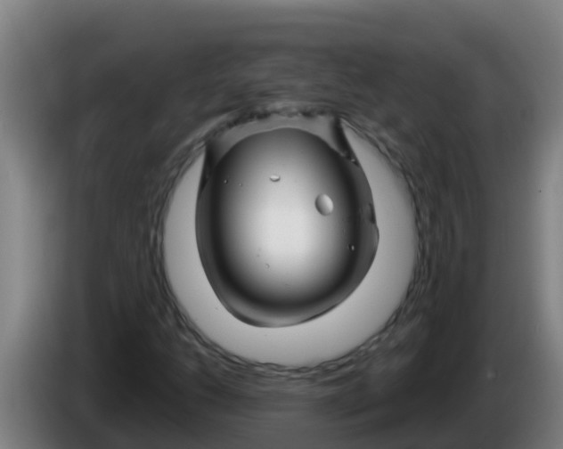 X0000086301206200704201936