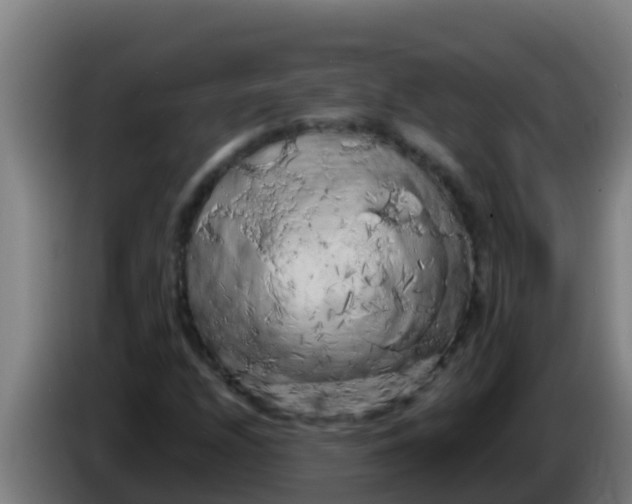 X0000086301208200704201936