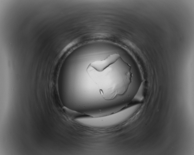 X0000086301210200704201936