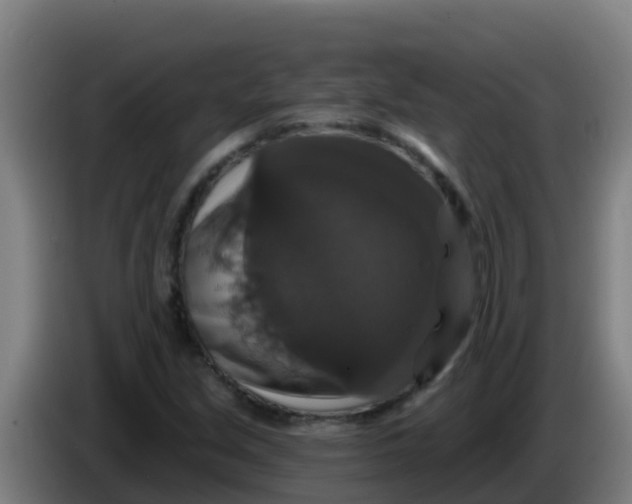 X0000086301213200704201936