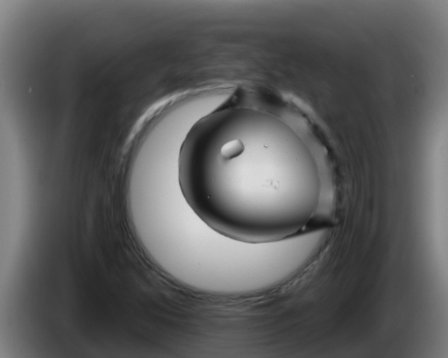 X0000086301214200704201936