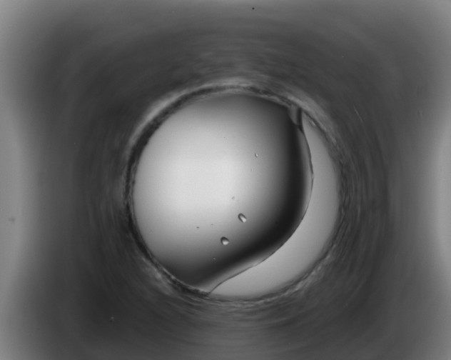 X0000086301216200704201936