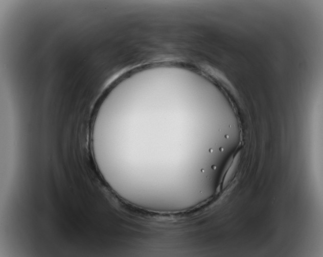 X0000086301220200704201936