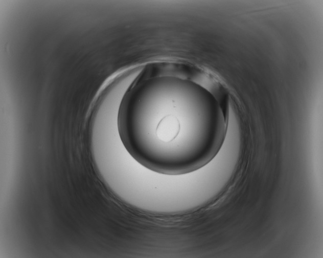 X0000086301222200704201936