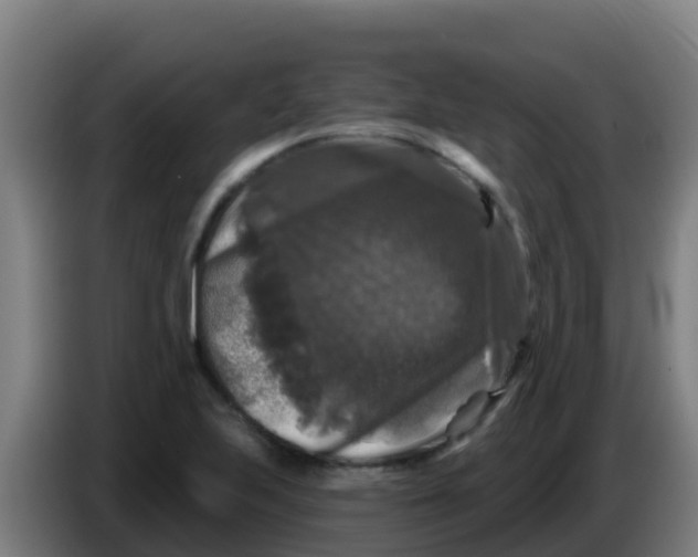 X0000086301223200704201936