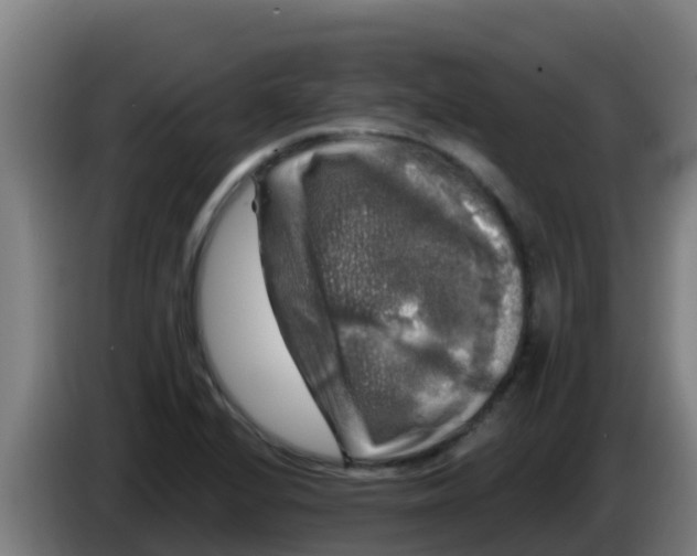 X0000086301224200704201936