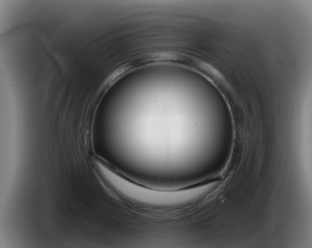 X0000086301225200704201936