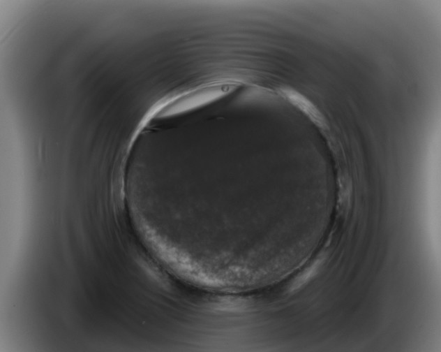 X0000086301226200704201936