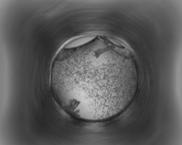 X0000086301228200704201936