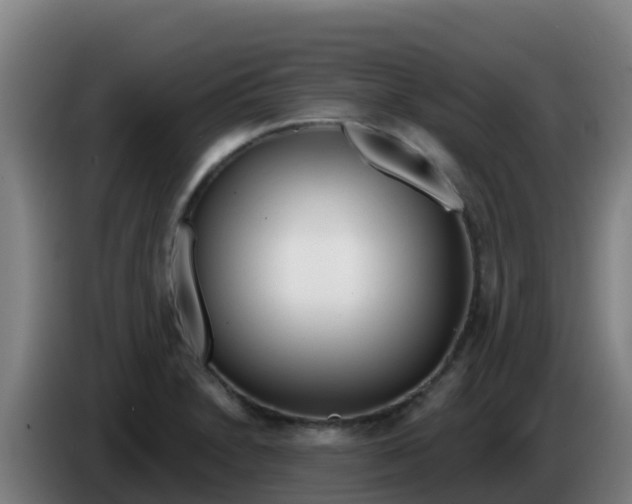 X0000086301230200704201936