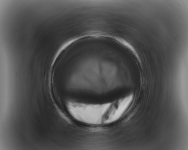 X0000086301231200704201936