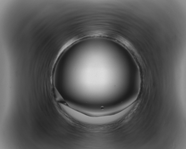 X0000086301234200704201936