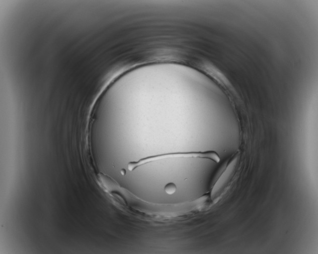 X0000086301236200704201936