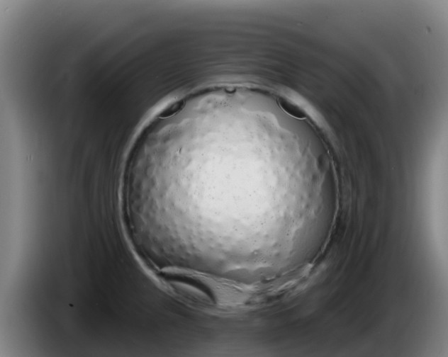 X0000086301237200704201936