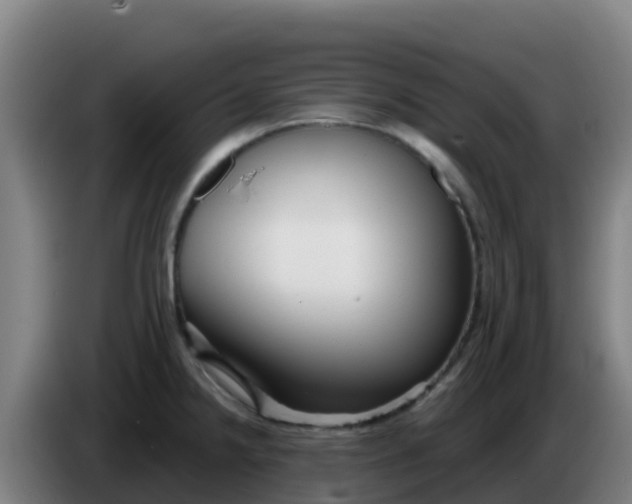 X0000086301238200704201936