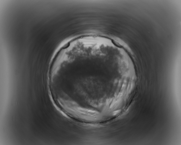 X0000086301239200704201936