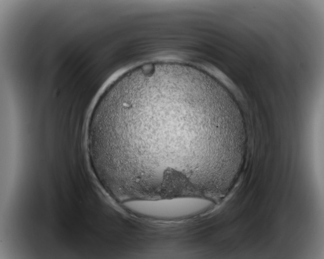 X0000086301240200704201936