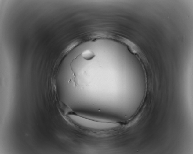 X0000086301241200704201936