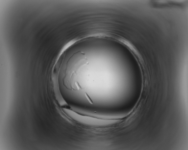 X0000086301242200704201936