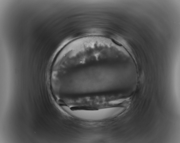 X0000086301243200704201936